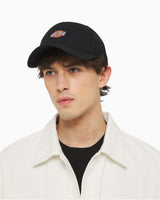 Dickies Hanston Trucker Şapka