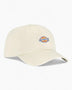 Dickies Hardwick Şapka Whitecap Gray
