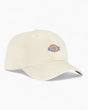 Dickies Hardwick Şapka Whitecap Gray