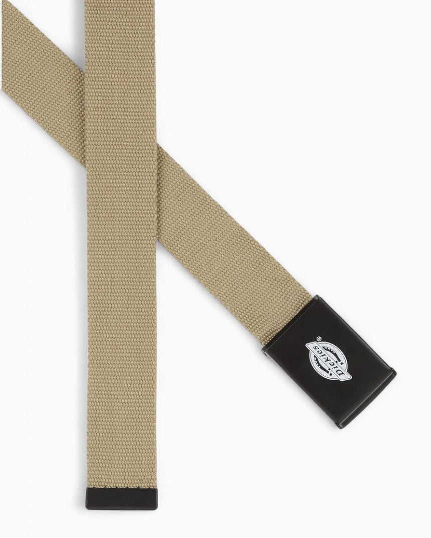 Dickies Orcutt Webbing Kemer
