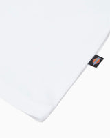 Dickies SS Mapleton Erkek T-Shirt