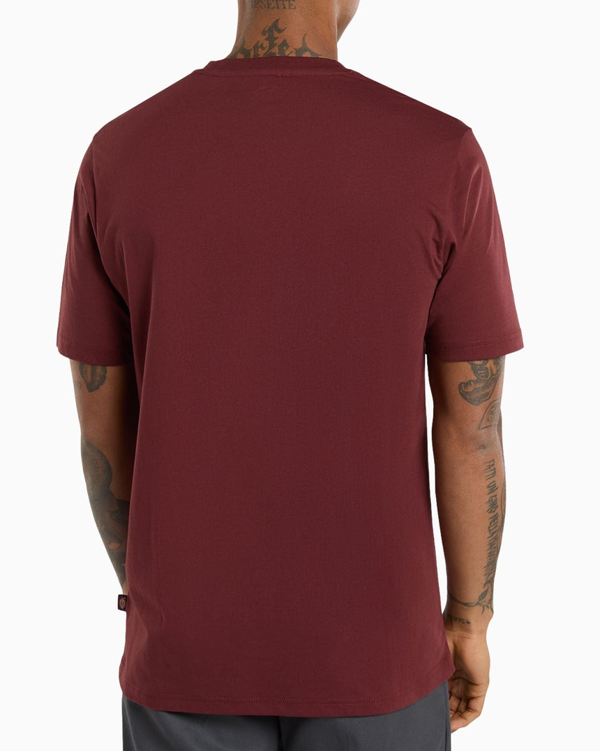 Dickies SS Mapleton Erkek T-Shirt