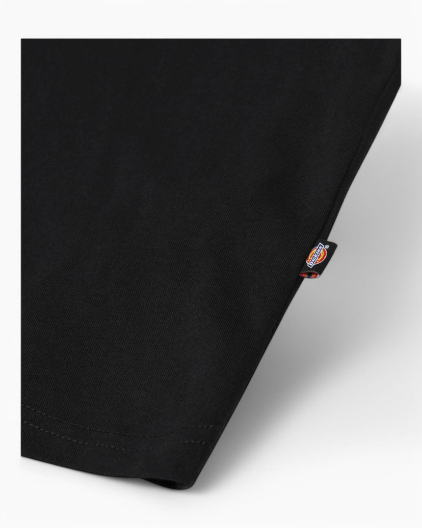 Dickies SS Mapleton Erkek T-Shirt