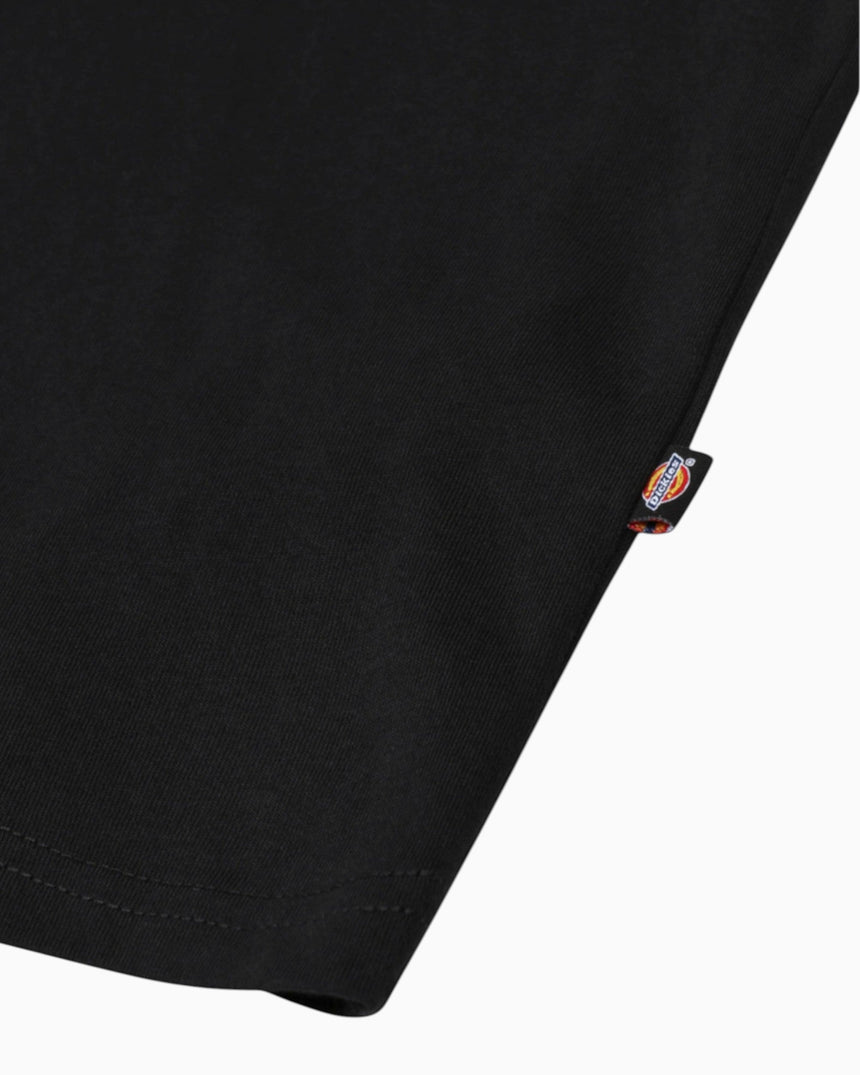 Dickies SS Mapleton Erkek T-Shirt
