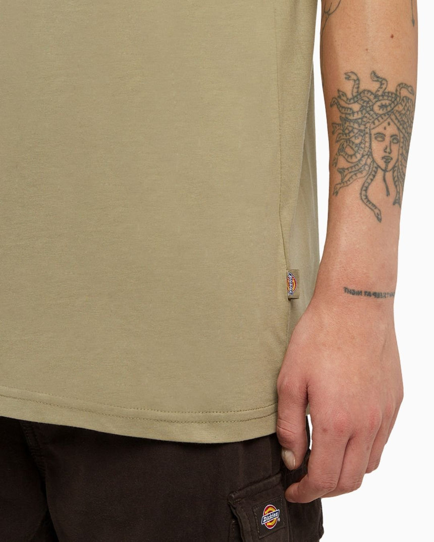 Dickies SS Mapleton Erkek T-Shirt