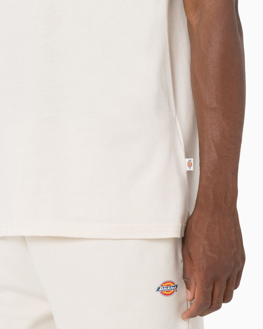 Dickies SS Mapleton Erkek T-Shirt