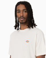 Dickies SS Mapleton Erkek T-Shirt