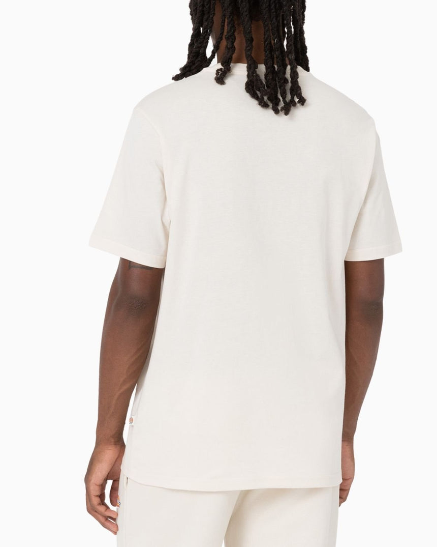Dickies SS Mapleton Erkek T-Shirt