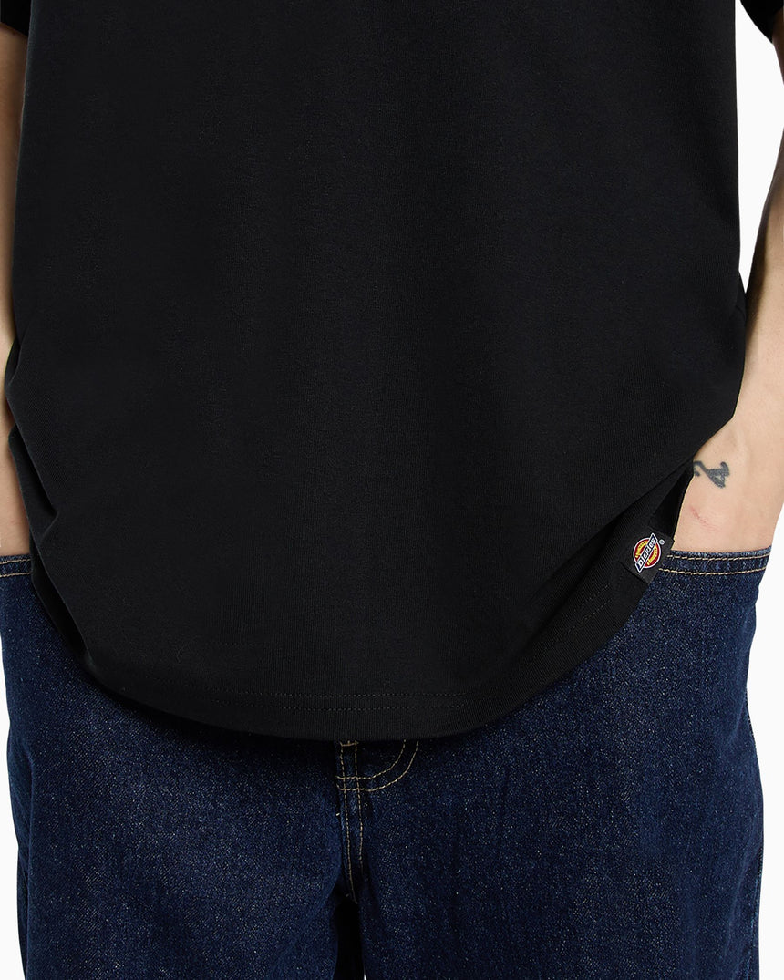 Dickies Statesville SS Erkek T-Shirt