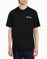 Dickies Statesville SS Erkek T-Shirt
