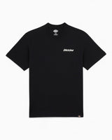 Dickies Statesville SS Erkek T-Shirt