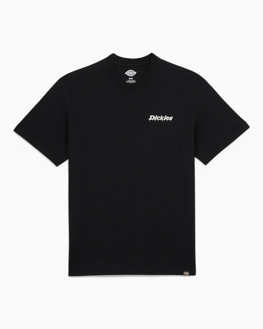 Dickies Statesville SS Erkek T-Shirt