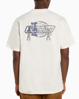 Dickies Statesville SS Erkek T-Shirt