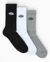 Dickies Summerdale 3PK Çorap White/Multi