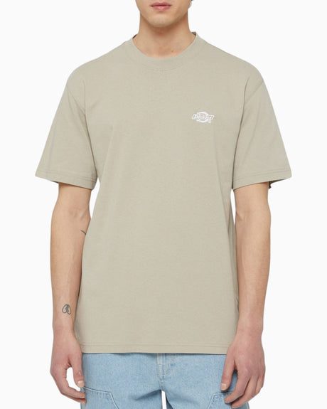 Dickies Summerdale Erkek T-Shirt