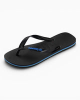 Havaianas Logo Filette Erkek Terlik