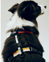HAY Design Dogs Harness Medium