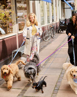 HAY Design Dogs Leash Braided