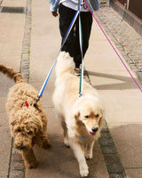 HAY Design Dogs Leash Braided