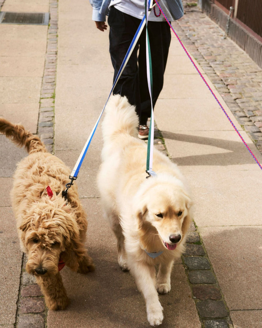 HAY Design Dogs Leash Braided