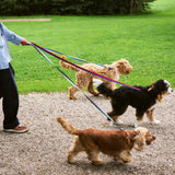 HAY Design Dogs Leash Flat M/L