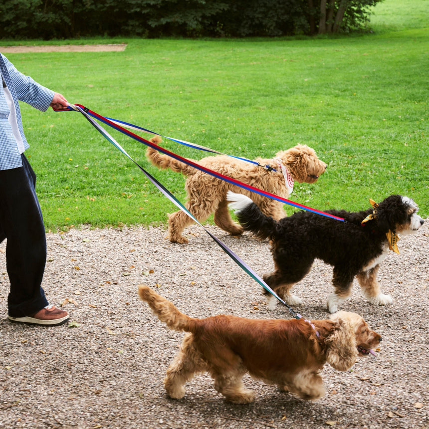 HAY Design Dogs Leash Flat M/L