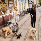 HAY Design Dogs Leash Flat M/L