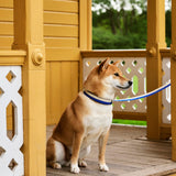 HAY Design Dogs Leash Flat M/L