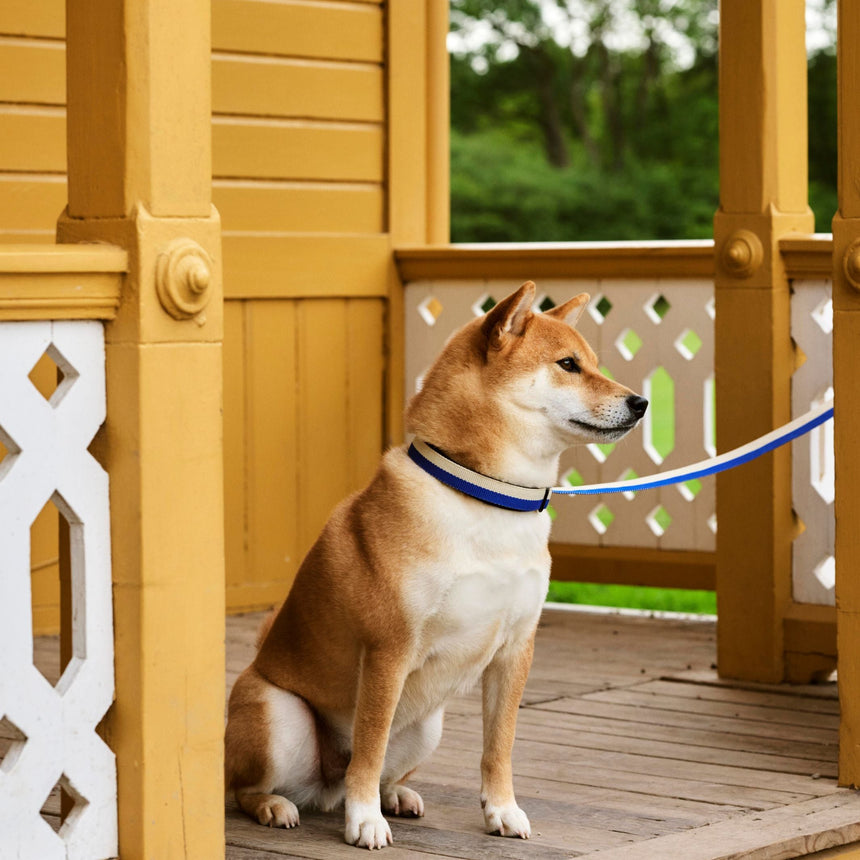 HAY Design Dogs Leash Flat M/L