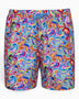Heliophilia Neo Paisley Şort Mayo Multicolor