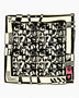 Lar Studio Grass Scarf 42x42 Fular Multicolor