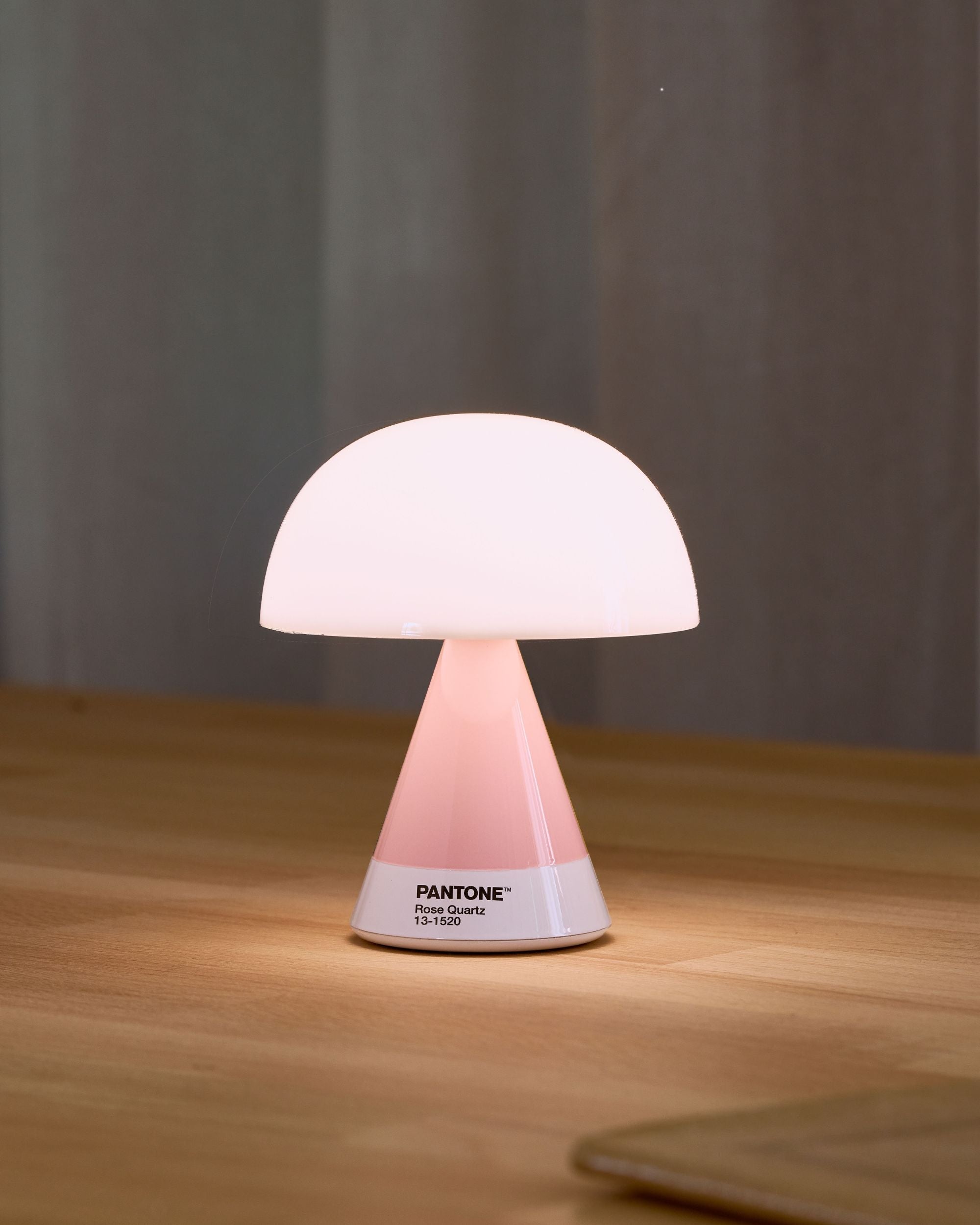 未開封 DOFFJASON X LEXON MINA MUSHROOM LAMP 未開封 DOFFJASON X LEXON MINA MUSHROOM LAMP Lexon x Pantone Mina M