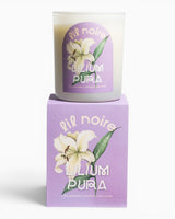Lil Noire Lilium Pura