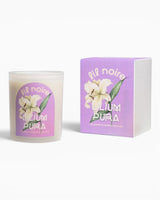Lil Noire Lilium Pura