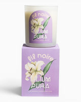 Lil Noire Lilium Pura