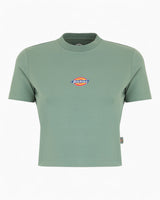 Dickies Maple Valley Kadın T-Shirt Sea Spray