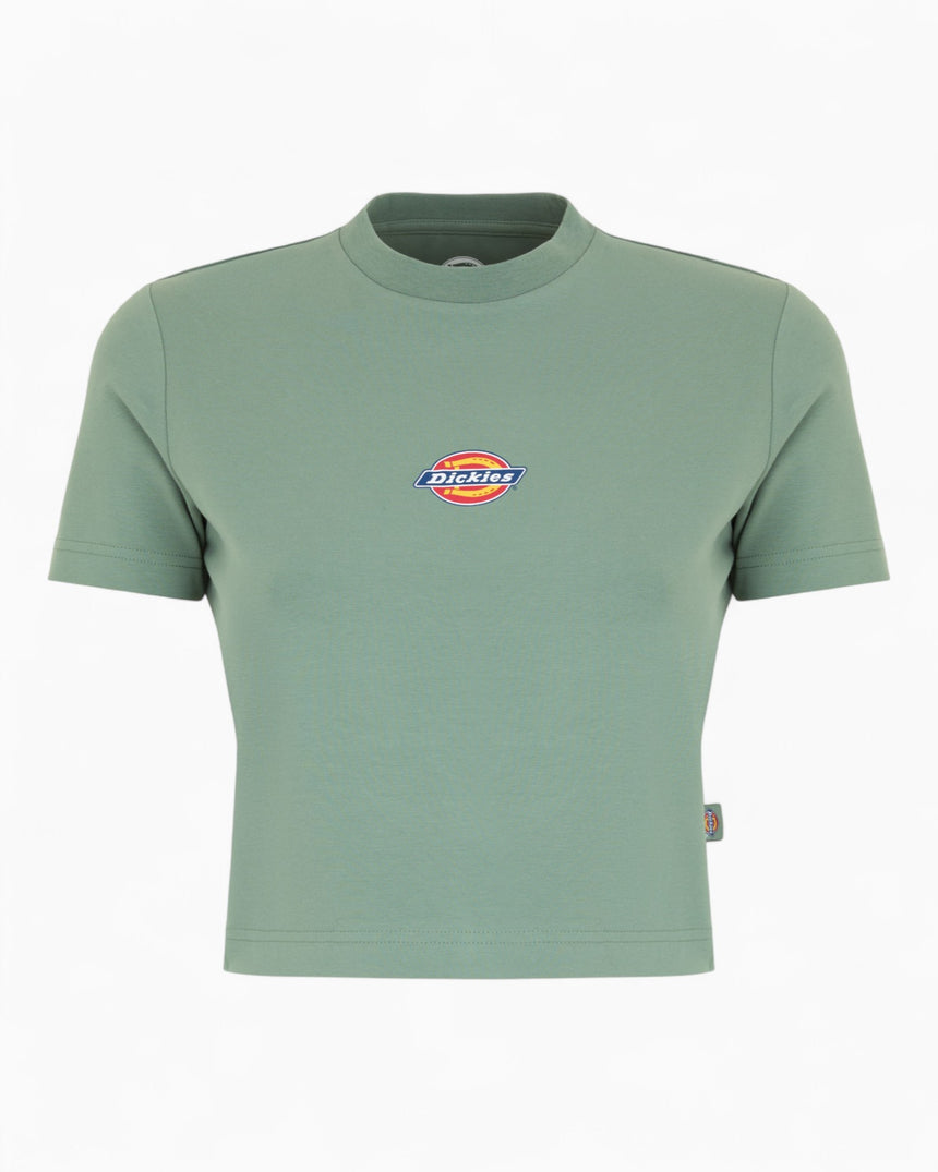 Dickies Maple Valley Kadın T-Shirt Sea Spray