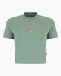 Dickies Maple Valley Kadın T-Shirt Sea Spray