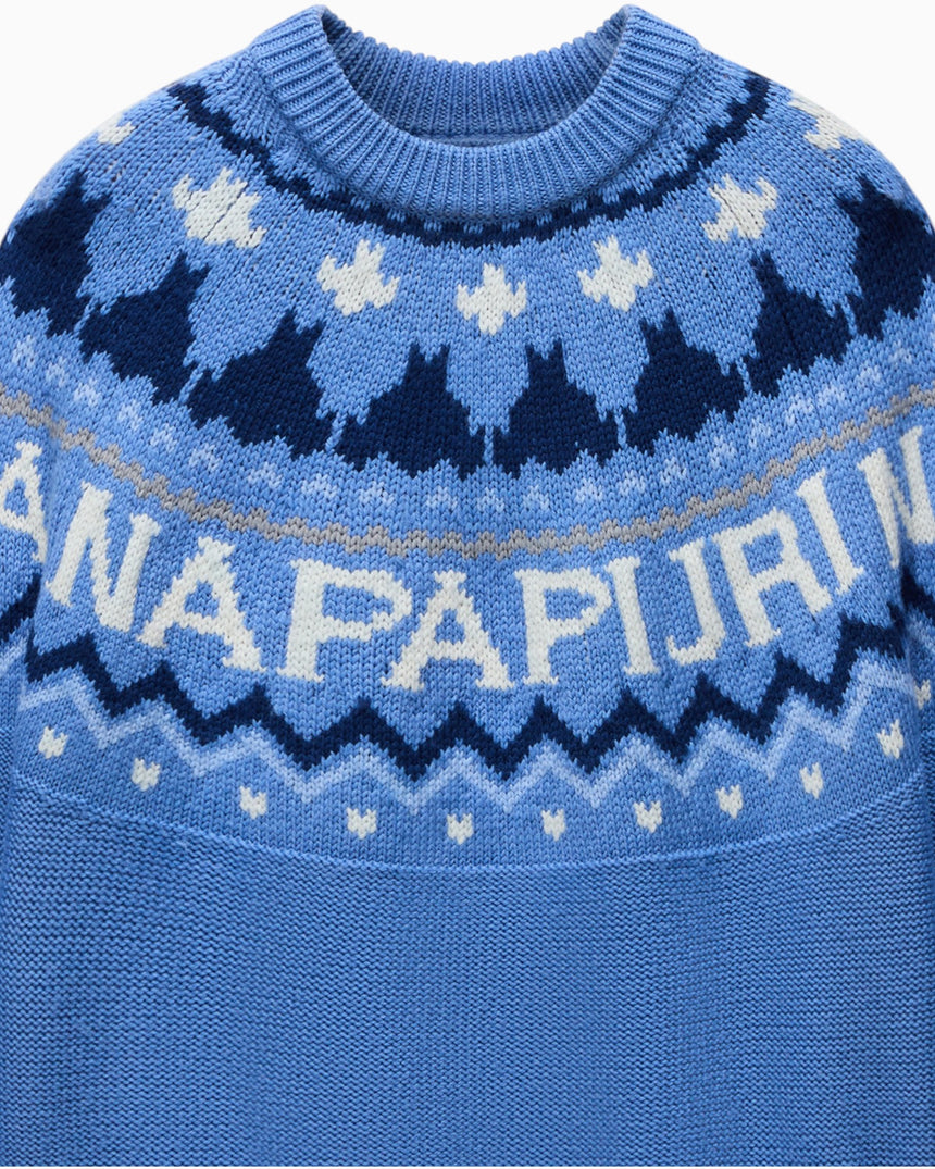 Napapijri D-Fiames C Kadın Kazak Sweatshirt