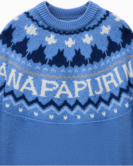 Napapijri D-Fiames C Kadın Kazak Sweatshirt