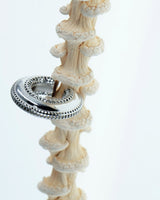 PACAL Eclipse Earcuff