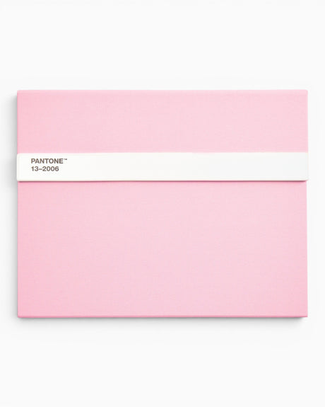 Pantone Notebook W/ Pencil Unlined Light Pink
