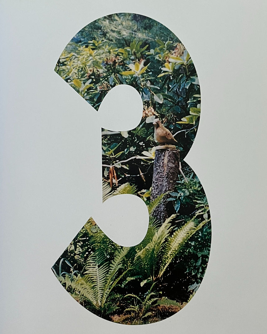 Pestil Books for vitruta 1000 Garden Ideas
