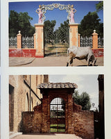 Pestil Books for vitruta 1000 Garden Ideas