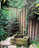 Pestil Books for vitruta 1000 Garden Ideas