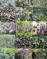 Pestil Books for vitruta 1000 Garden Ideas