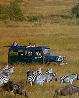 Pestil Books for vitruta Adventure: Hotel Stories