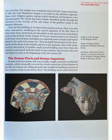 Pestil Books for vitruta Archaeological Guide to Rome 