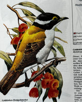 Pestil Books for vitruta Atlas der Vogelwert