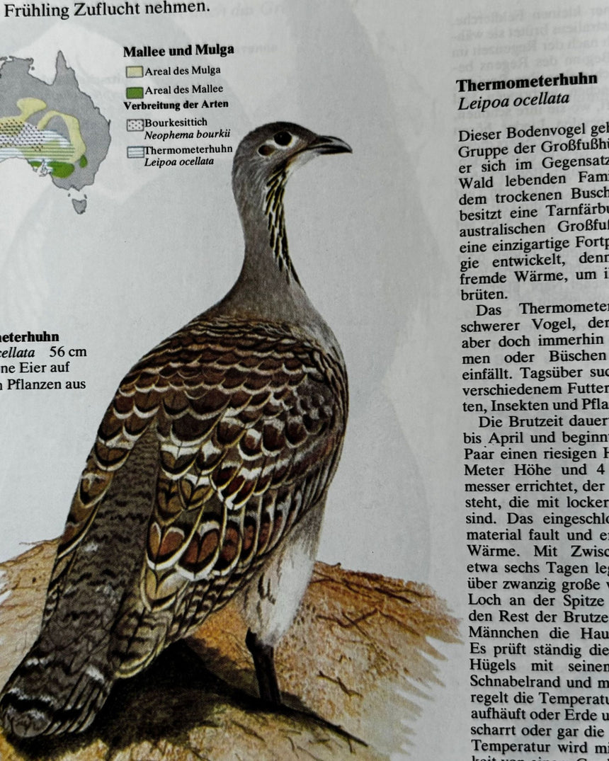 Pestil Books for vitruta Atlas der Vogelwert